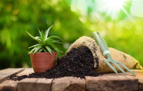 organic fertilizer production